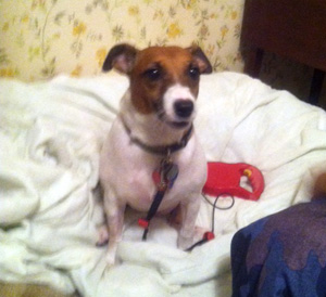 Amy – Helped December 2012