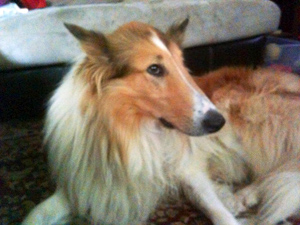 Big Boy – Helped June 2012