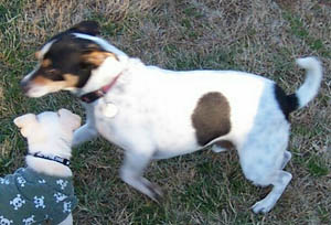 Buddy – Helped February 2012