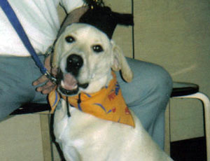 Buddy – Helped June 2012