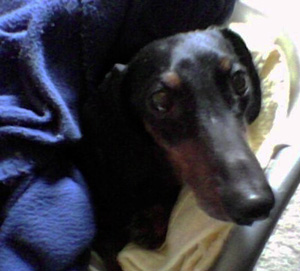 Indiana – Helped March 2013