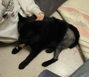 Mr. Night – Helped December 2009
