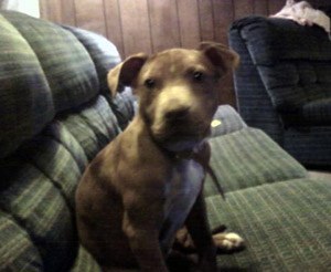 Roxy – Helped May 2012