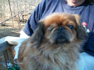 Squirt – Helped January 2011