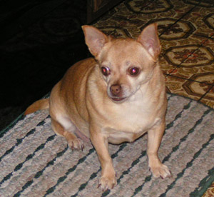 Tiny – Helped July 2010