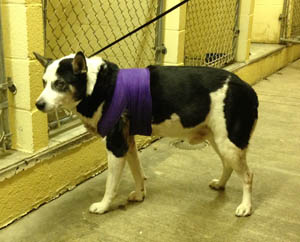 Tony – Helped March 2013