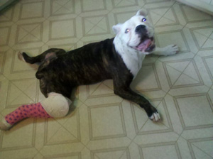 Allie Grace – Helped August 2011