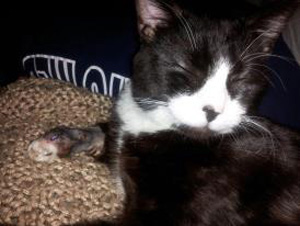 Baby – Helped April 2013