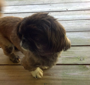 Diablo – Helped October 2012