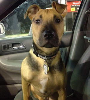 Franklin – Helped January 2013
