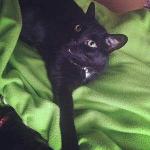 Haunter – Helped March 2013