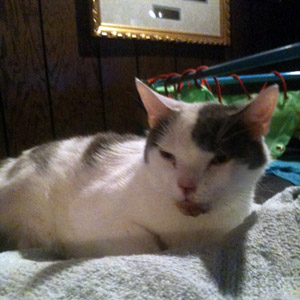 Jasper – Helped April 2012