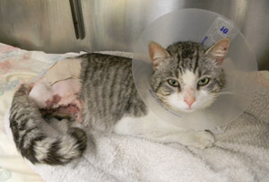 Kevin – Helped February 2013