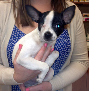 Laila – Helped March 2013