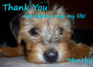 Lucky – Helped June 2010