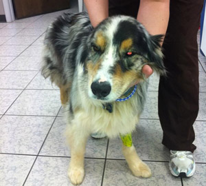 Luke – Helped April 2011