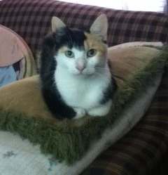 Sally – Helped January 2012