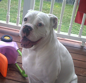 Sampson – Helped June 2011