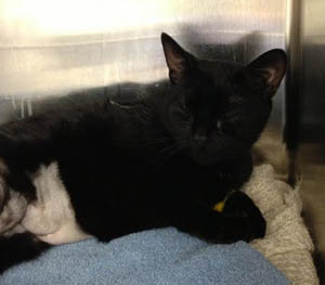 Slate – Helped March 2013