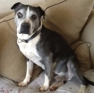 Tintan – Helped March 2013