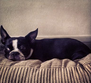 Bronson – Helped October 2014