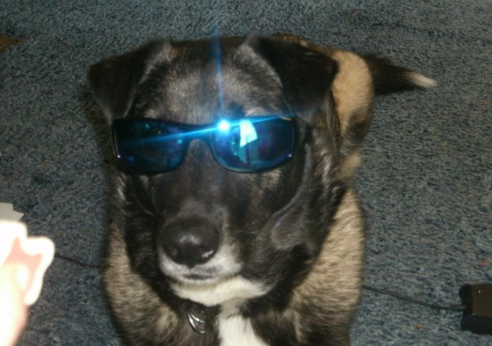 Isabella (Izzy) – Helped February 2015