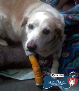 Patches – helped June 2015