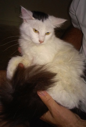 Snowball – Helped June 2015