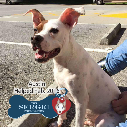 Austin – Helped Feb. 2016