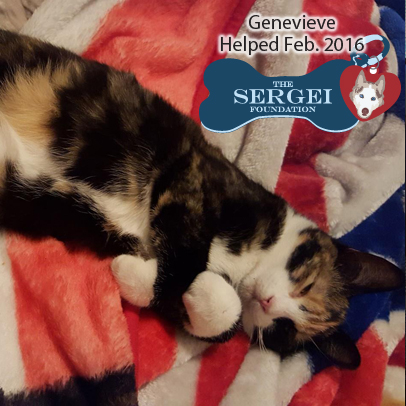 Genevieve – Helped Feb. 2016