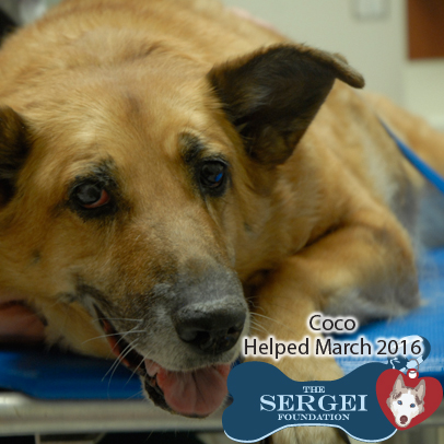 Coco – Helped March 2016