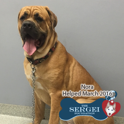 Nora – Helped March 2016