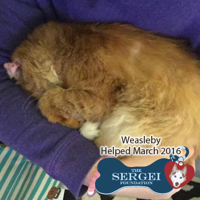 Weasleby – Helped March 2016