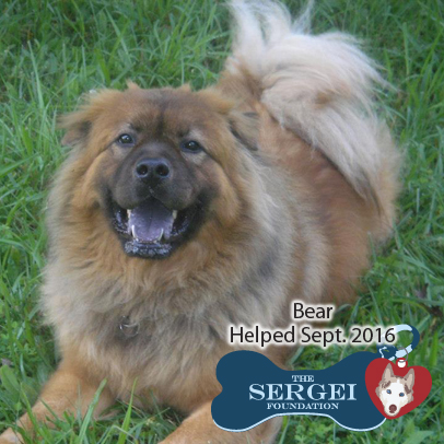 Bear – Helped Sept. 2016