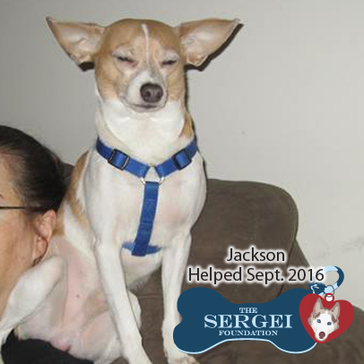 Jackson – Helped Sept. 2016