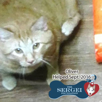 Oliver – Helped Sept. 2016