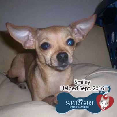 Smiley – Helped Sept. 2016