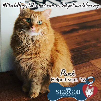 Punk – Helped Sept. 2018