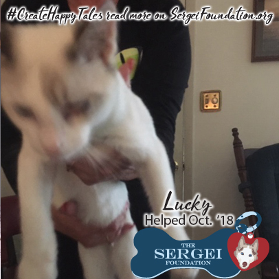 Lucky – Helped Oct. 2018