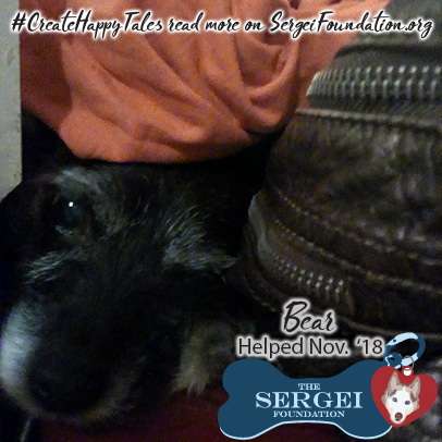 Bear – Helped Nov. 2018