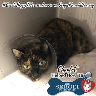 Choplet – Helped Nov. 2018