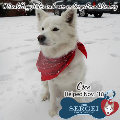 Cree – Helped Nov. 2018