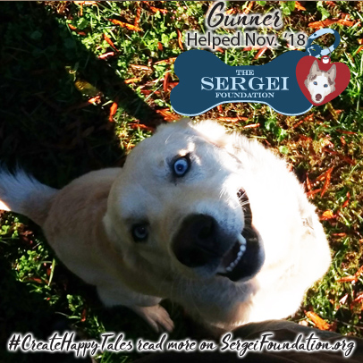 Gunner – Helped Nov. 2018