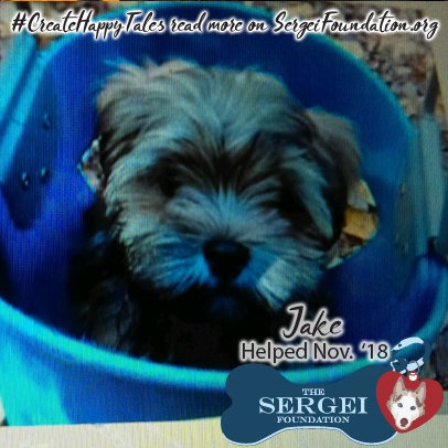 Jake – Helped Nov. 2018