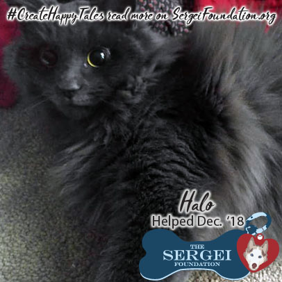 Halo – Helped Dec. 2018