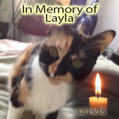 Layla – Helped Dec. 2018