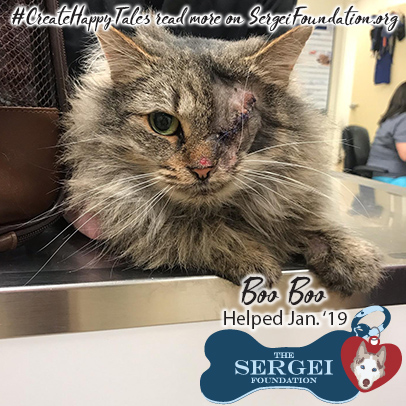 Boo Boo – Helped Jan. 2019