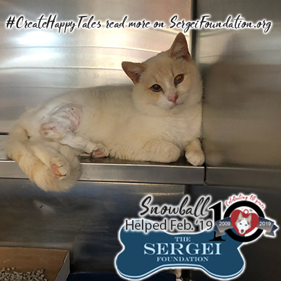 Snowball – Helped Feb. 2019