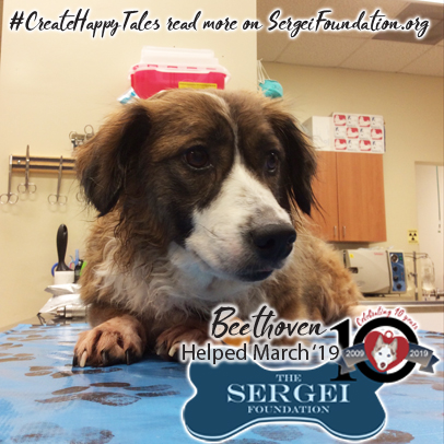 Beethoven – Helped March 2019