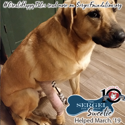 Sweetie – Helped March 2019